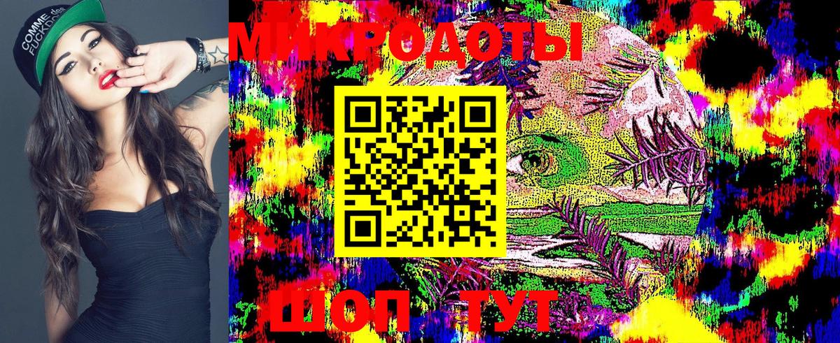 Псилоцибиновые грибы Psilocybe  Галлюциногенные грибы мицелий  Тавда  Вход с VPN 