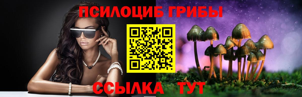 Галлюциногенные грибы GOLDEN TEACHER Тавда